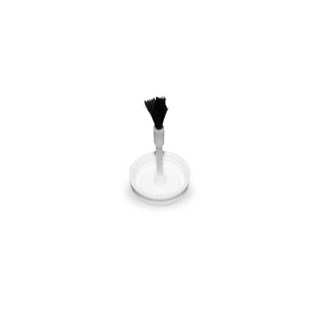 250ml Cone Top Tin